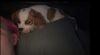 Frankie photo 2