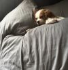Frankie photo 3