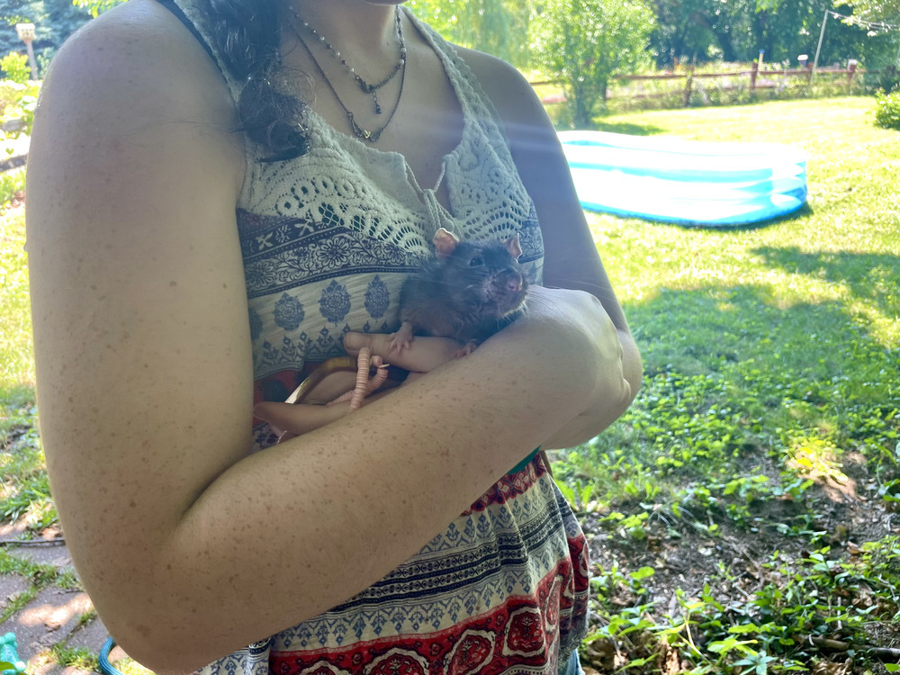 Baron and Splinter