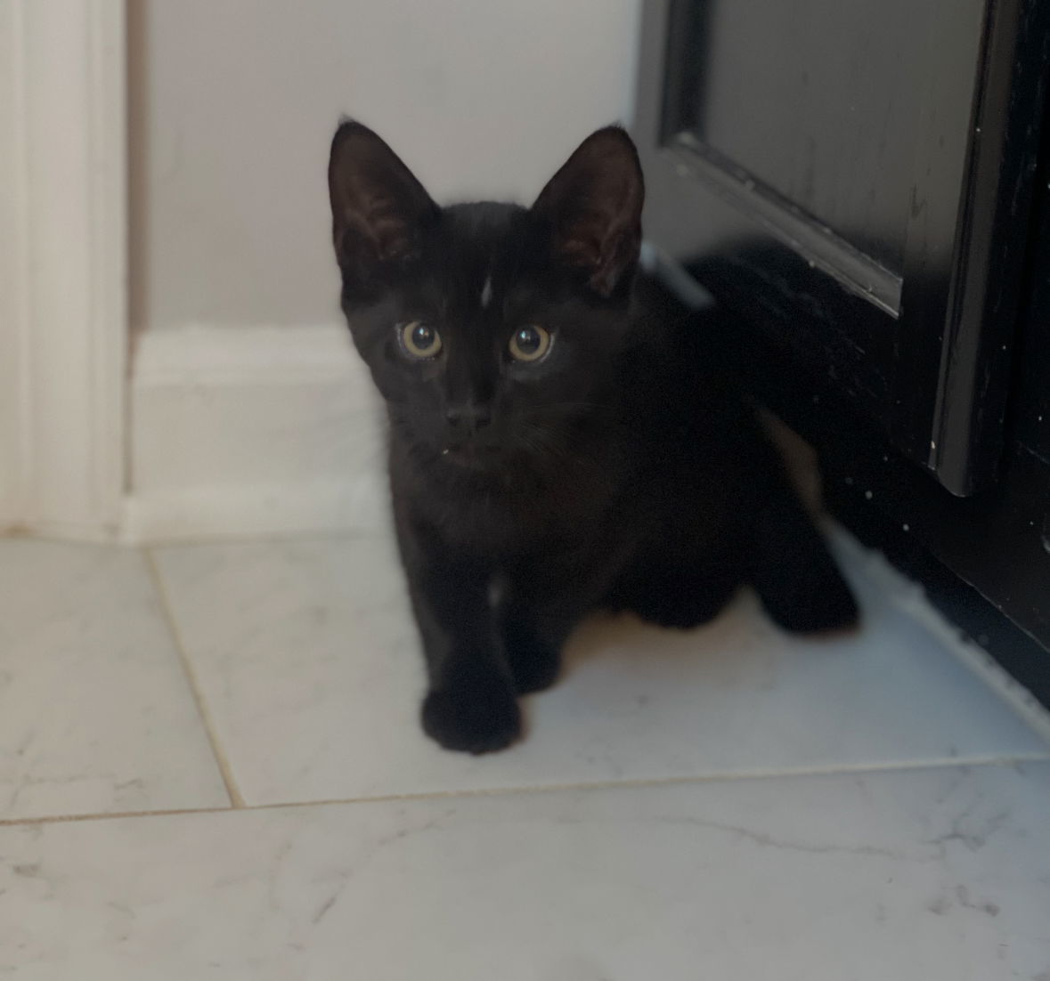 Julian