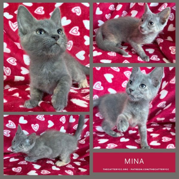 Mina thumbnail 1