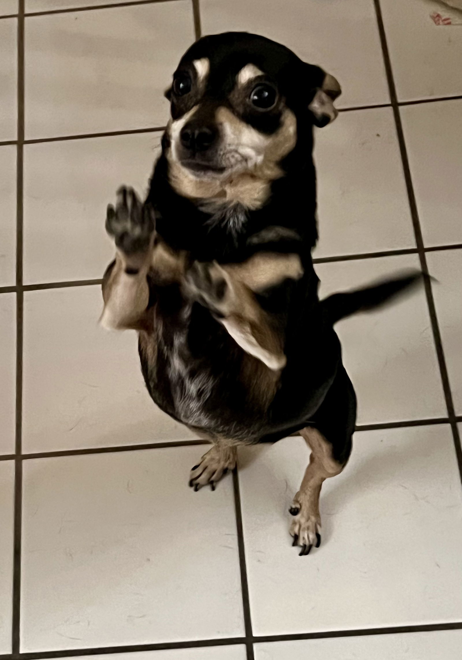 ! Minnie