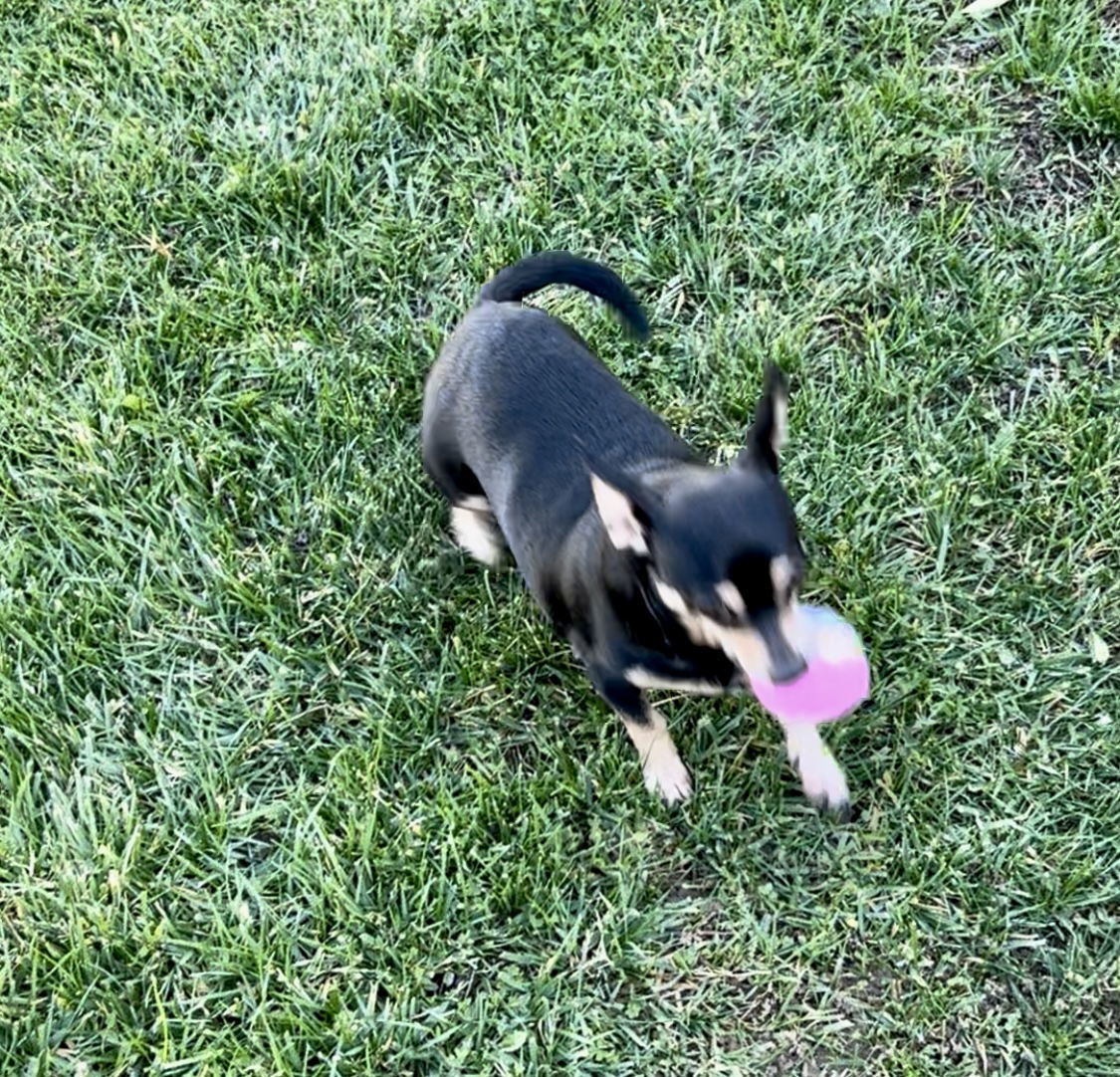 ! Minnie