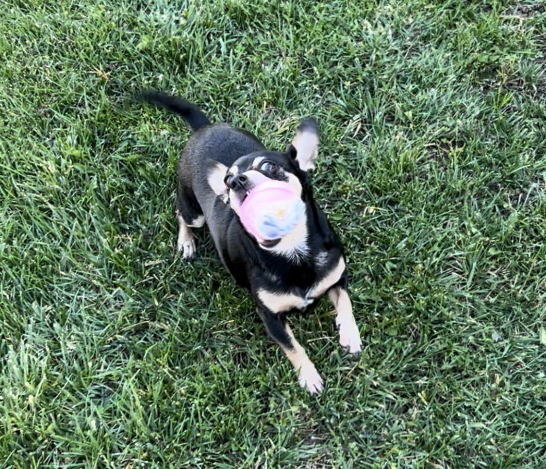 ! Minnie