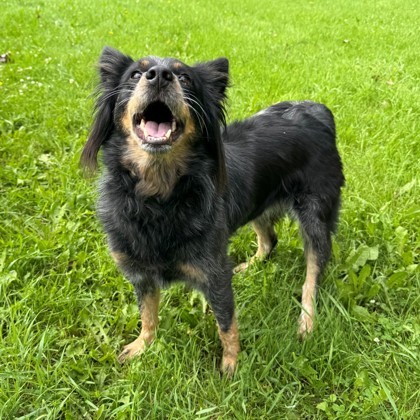 Roxy