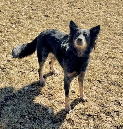 Roxy