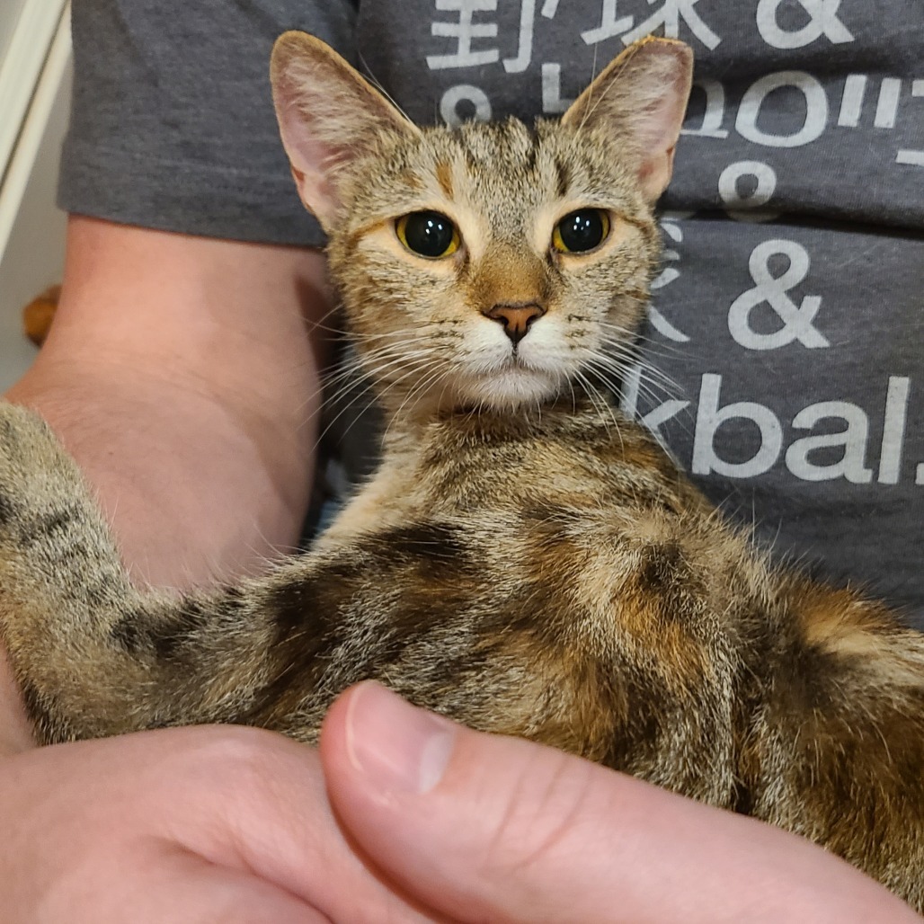 Mochie (aka Milton 1)