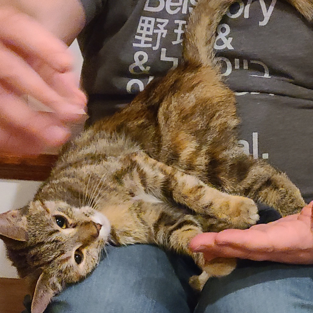 Mochie (aka Milton 1)