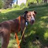 Buddy photo 2