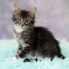Freya Bean photo 2