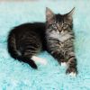 Freya Bean photo 3