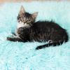 Freya Bean photo 5