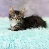 Freya Bean photo 6