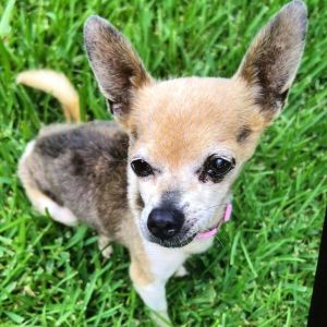 JoJo, Senior Male unknown