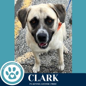 Clark 062825