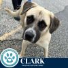 Clark 062825 photo 2