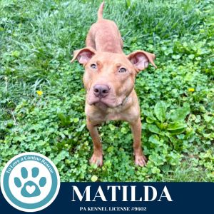 Matilda (Mom to Matilda&#39;s Muffins) 060725