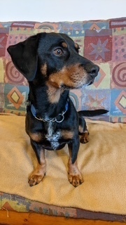 Baxter