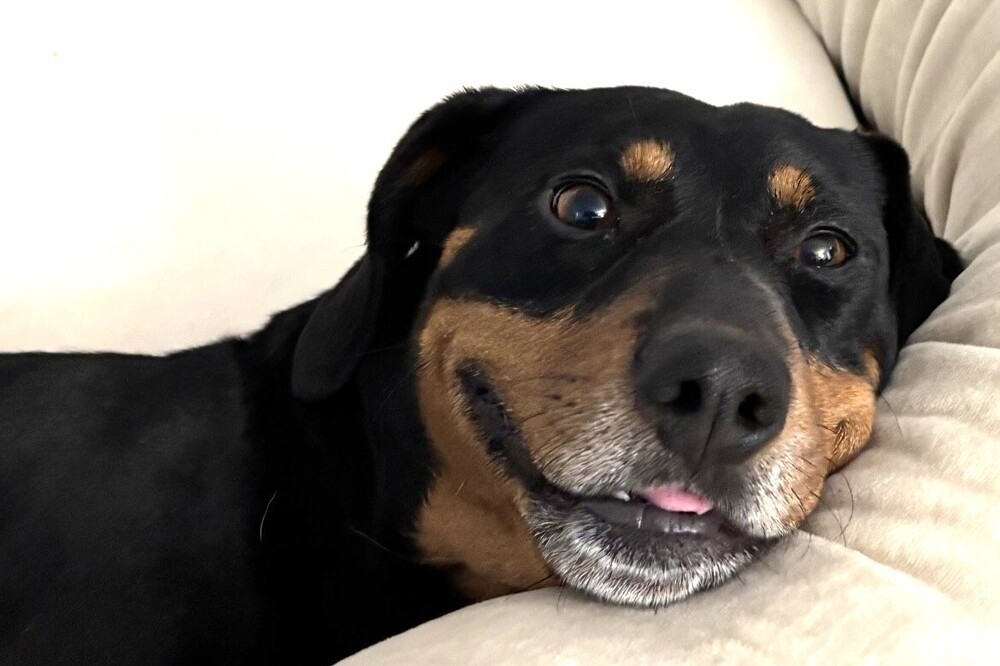 Baxter