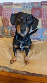 Baxter