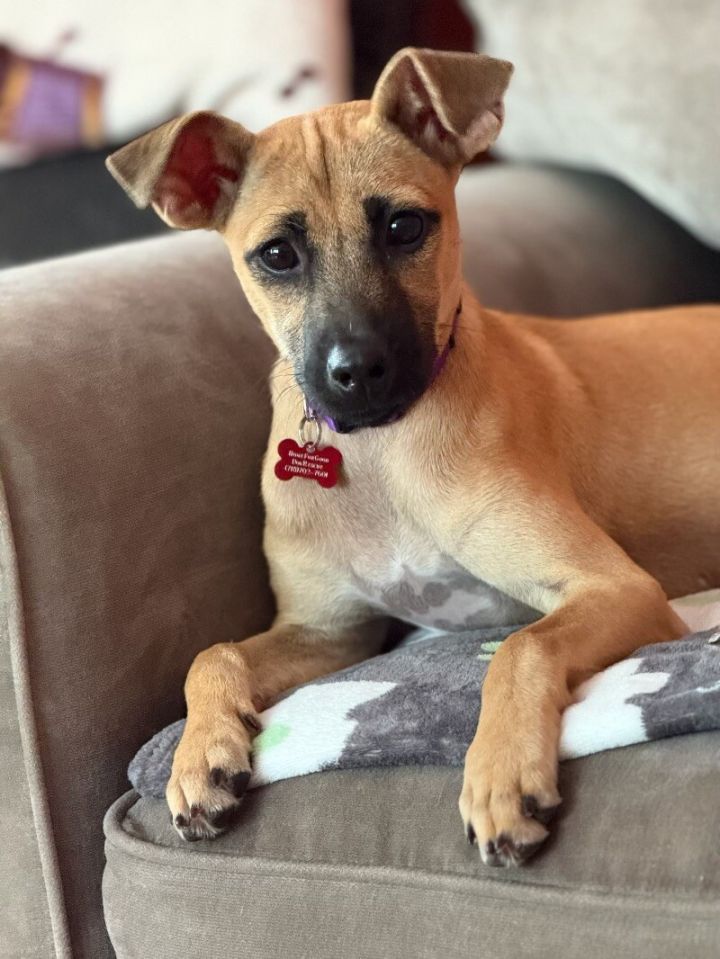 Lilly 2