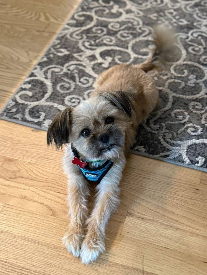 Oscar