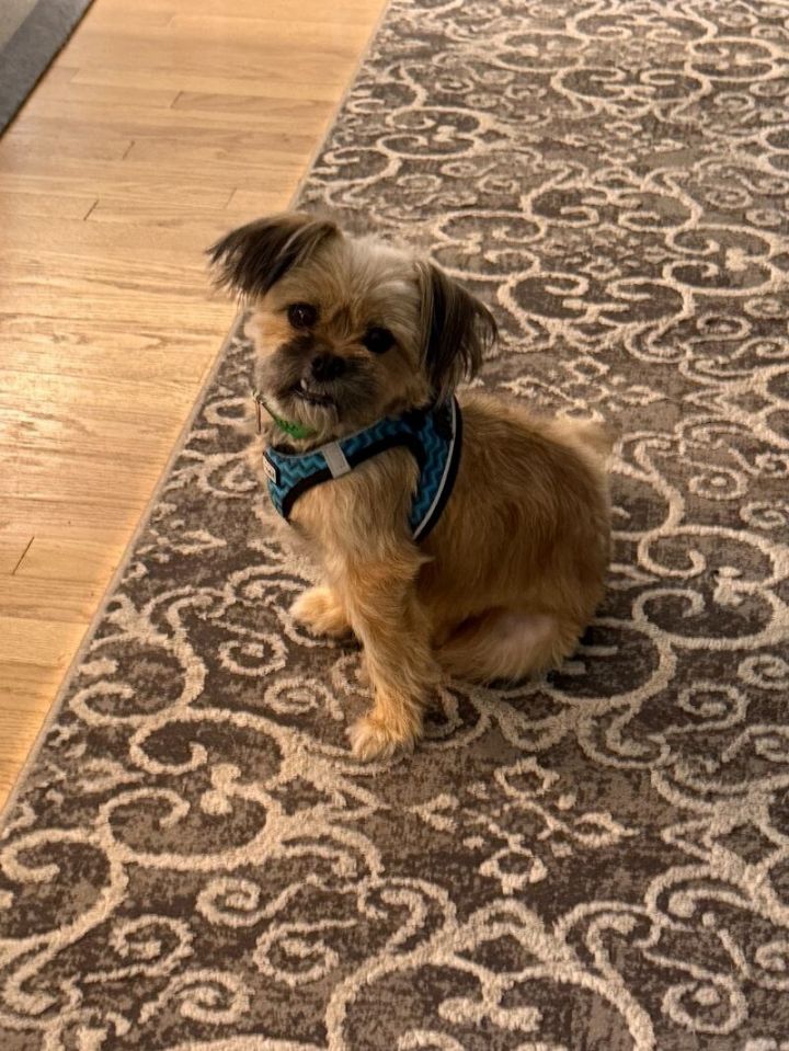 Oscar 3