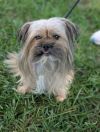 Oscar photo 5