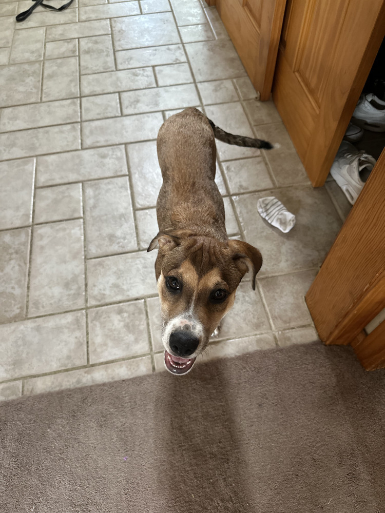 Endless Summer (E Siblings)