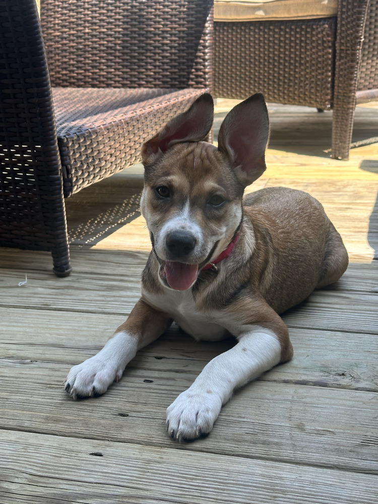 Endless Summer (E Siblings)