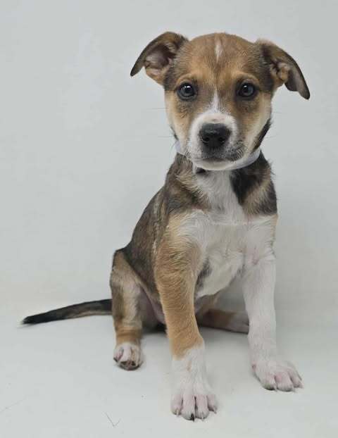 Endless Summer (E Siblings)