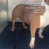 Chickpea (Stella Rose Wells) photo 6