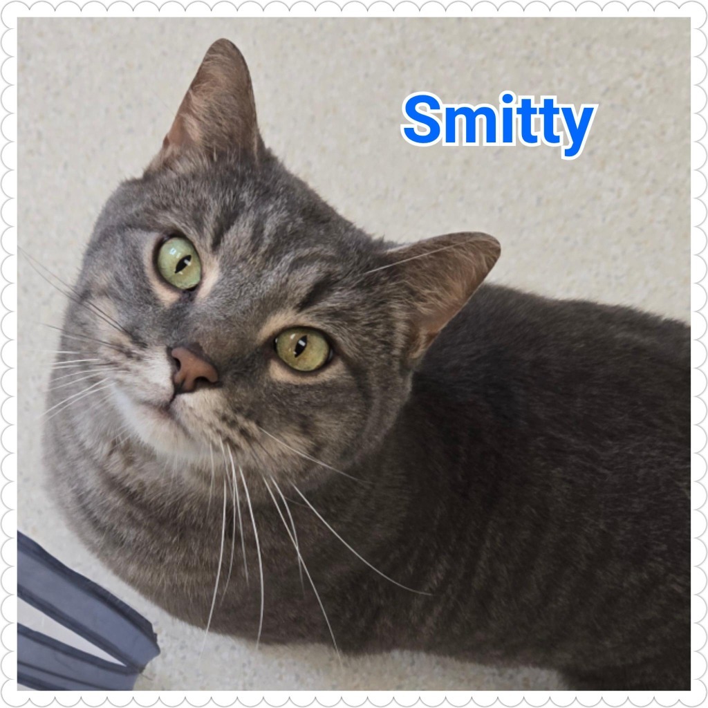 Smitty