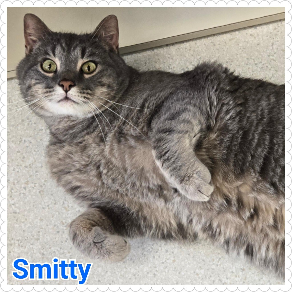 Smitty