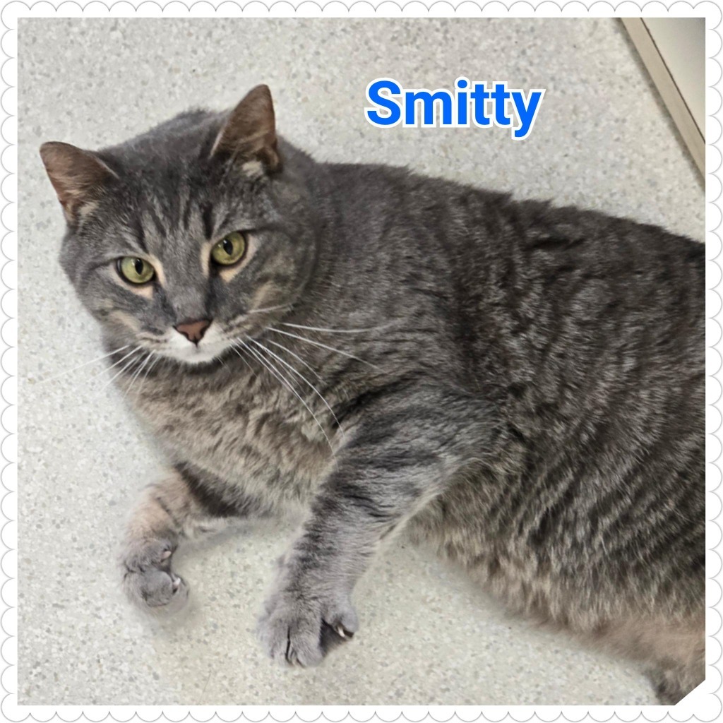 Smitty