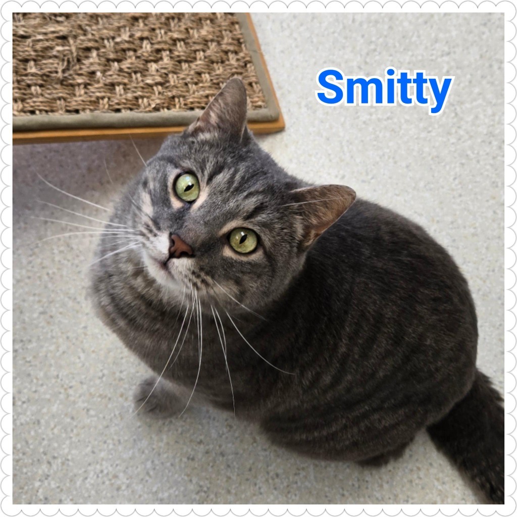 Smitty