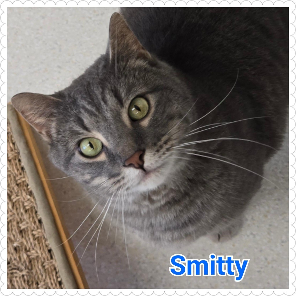 Smitty