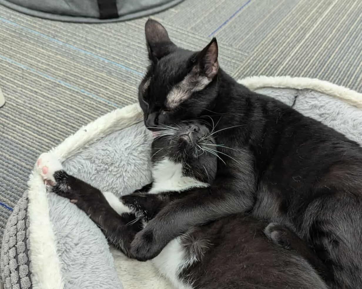 Posey and Tutu bonded