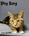 Bing Bong photo 1