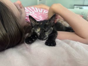 Gorgeous petite Minnie is the princess amongst her 4 brothers She is a little timid at first but 
