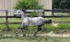Junebug photo 1