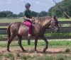 Charley Horse photo 1