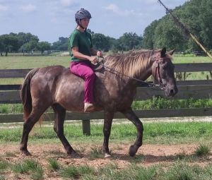 Charley Horse, Senior Male unknown