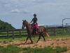 Charley Horse photo 5