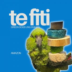Te Fiti, Adult Unknown Amazon