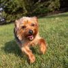 Bruno photo 5