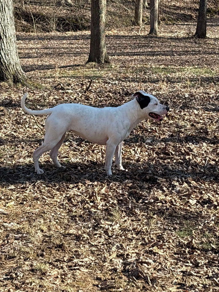 Milly