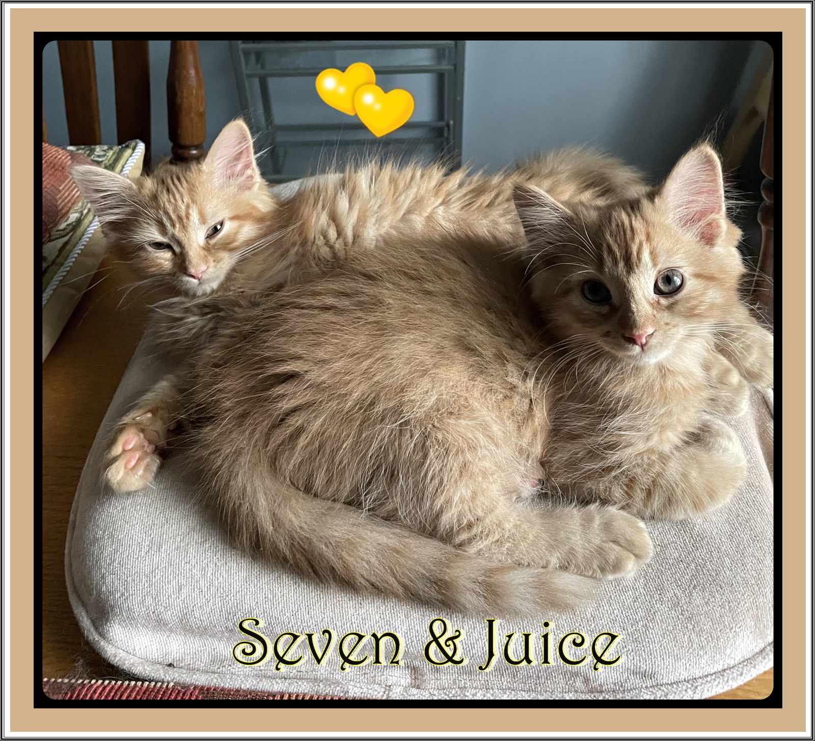 SEVEN & JUICE BONDED BROTHERS
