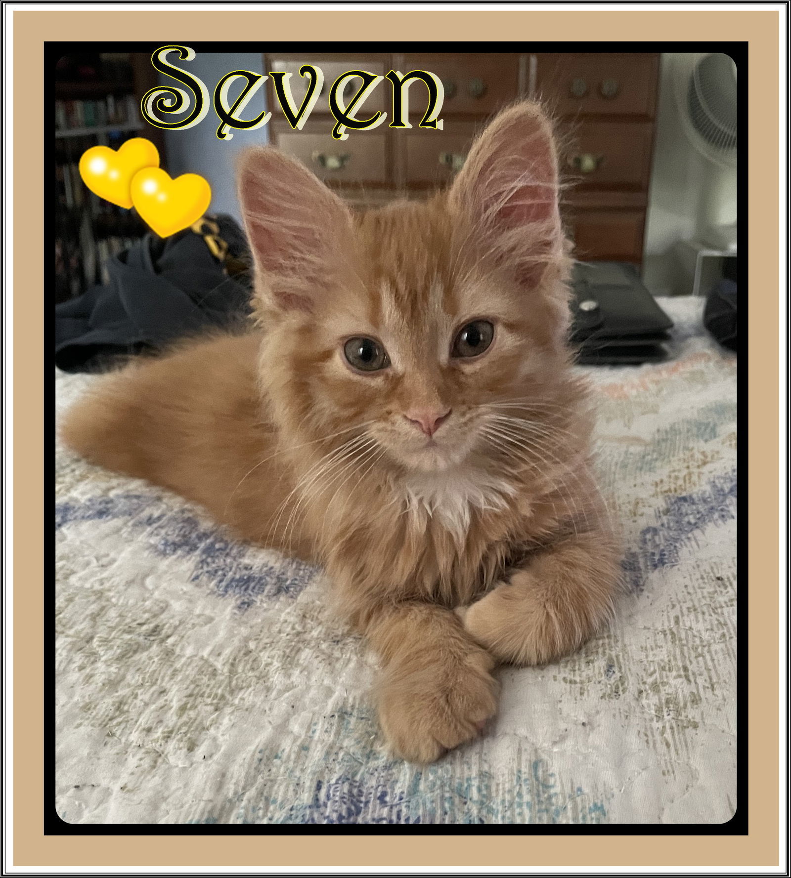 SEVEN & JUICE BONDED BROTHERS