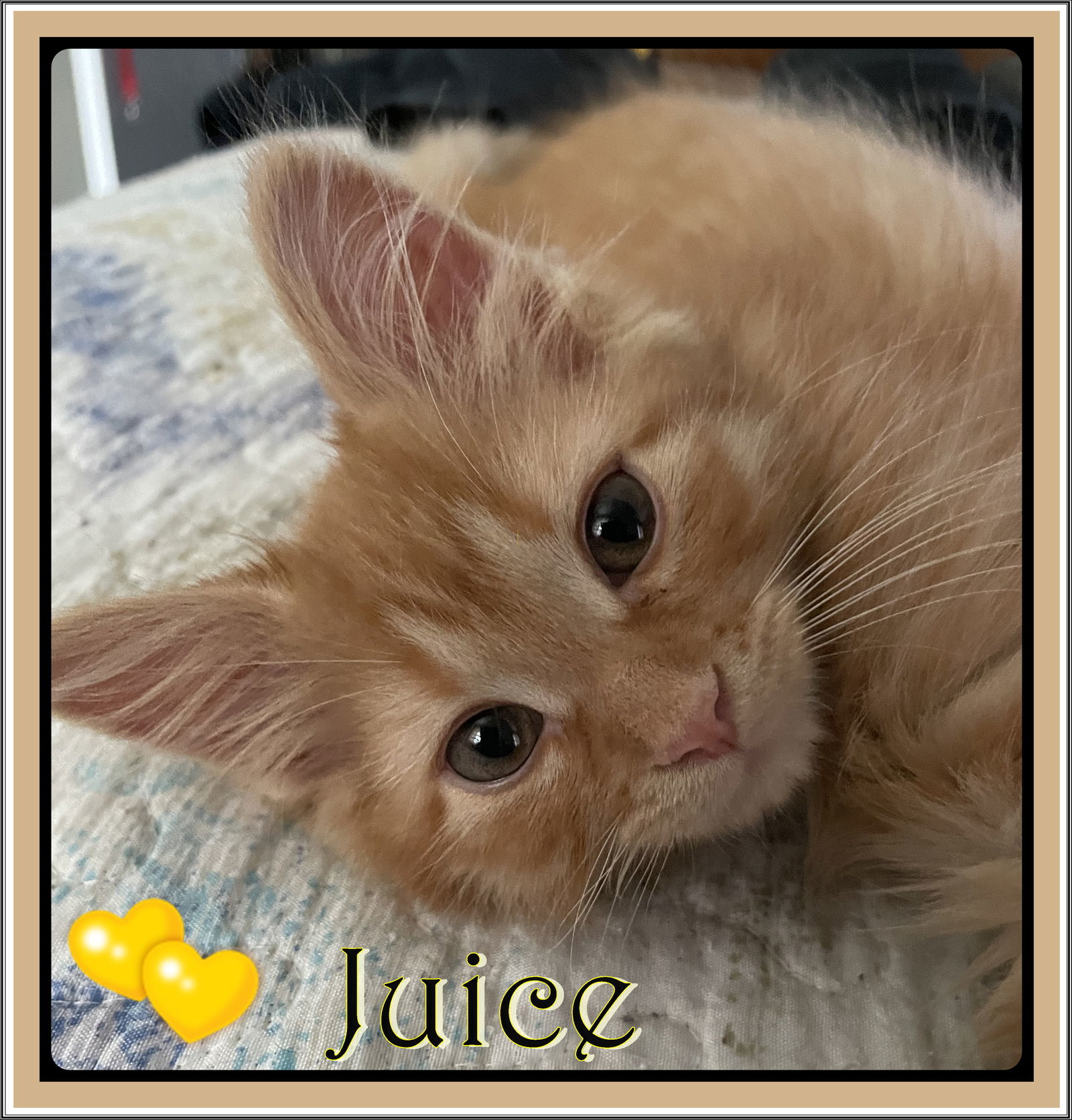 SEVEN & JUICE BONDED BROTHERS